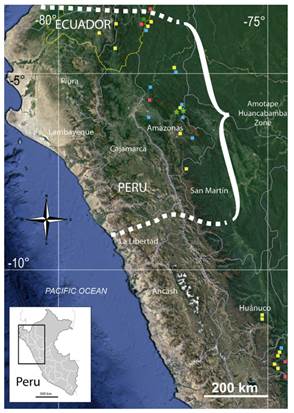 Distribution of Utricularia sect. Orchidioides in the Amotape-Huancabamba Zone and adjacent Central Peru. Green stars,U. amotape-huancabambensis. Yellow squares,U. unifolia. Blue squares,U. jamesoniana. Red squares,U. asplundii. Green circle,U. cf. amotape- huancabambensis (Pérez et al. 7423, QCA). Color version at http://www.ojs.darwin.edu.ar/index.php/darwiniana/ article/view/955/1230