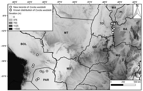 Distribution map of Cordia weddellii showing the disjunction between previously known collections from Bolivia and Paraguay and new records from Brazil. Abbreviations: Countries and Territories: BOL: Bolivia; PAR: Paraguay. Brazilian States: BA: Bahia; GO: Goiás; MA: Maranhão; MS: Mato Grosso do Sul; MT: Mato Grosso; PI: Piauí; RO: Rondônia; TO: Tocantins.