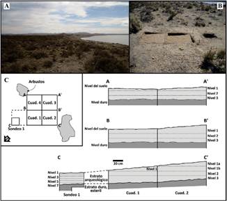 A, estepa arbustiva del Golfo San Jorge en los alrededores del sitio Palo Alto. B, vista de la excavación. C, planos de excavación y estratigrafía del sitio Palo Alto (CNSC, tomado de Zubimendi et al., 2010). Figura en color en la versión en línea http://www.ojs.darwin.edu.ar/index.php/darwiniana/article/view/1020/1254