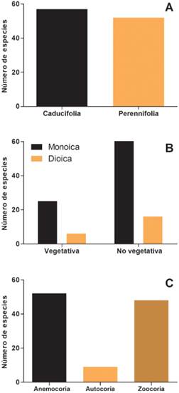 A, caracterización de las especies arbóreas introducidas en Argentina según la fenología del follaje: caducifolia y perennifolia. B, clasificación de las especies de árboles introducidos en Argentina según su tipo de reproducción tanto sexual (monoica o dioica) como asexual (con o sin reproducción vegetativa). C, clasificación de las especies arbóreas introducidas en Argentina según los síndromes de dispersión anemocoria, autocoria y zoocoria. Figura en color en la versión en línea http://www.ojs.darwin.edu.ar/index. php/darwiniana/article/view/1001/1246