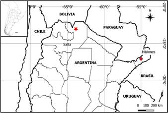 Mapa de distribución de los nuevos registros en Argentina, R. pedicellata (rombo) y R. scabra var. chacoensis (estrella).
