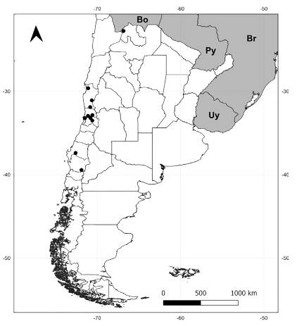 Mapa que ilustra la distribución geográfica de Microphyes minima en la Argentina y Chile.