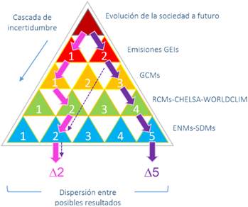 Cascada de incertidumbre ilustrando posibles resultados asociados a experimentos de cambio en la distribuci&oacute;n de especies. Las flechas rosas y violetas ejemplifican caminos que conducen a diferentes soluciones, en funci&oacute;n del escenario de emisi&oacute;n, del modelo clim&aacute;tico elegido, del m&eacute;todo de reducci&oacute;n de escala seleccionado y del modelo ecol&oacute;gico utilizado. La flecha punteada ilustra una posible desviaci&oacute;n del camino violeta. Figura adaptada de Wilby & Dessai (2010). Figura en color en la versi&oacute;n en l&iacute;nea https://www.ojs.darwin.edu.ar/index.php/darwiniana/article/view/1094/1307
