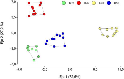 Ordenamiento de los individuos de Vriesea procera (Bromeliaceae) en el espacio determinado por las dos primeras funciones discriminantes. Los colores indican localidades diferentes en la Mata Atl&aacute;ntica: ES3, Itaguac&uacute;; BA2, Itamaraj&uacute;; SP2, Ubatuba; RJ5, Angra do Reis. Esta variable categ&oacute;rica denominada &ldquo;poblaci&oacute;n&rdquo; en la Tabla 1, participa activamente en el an&aacute;lisis discriminante. Figura en color en la versi&oacute;n en l&iacute;nea https://www.ojs.darwin.edu.ar/index.php/darwiniana/article/view/1086/1299