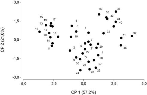 Ordenamiento de los 40 individuos de Vriesea procera (Bromeliaceae) en el espacio de las dos primeras componentes principales (CP1 y CP2). Las componentes principales 1 y 2 explican respectivamente el 57,2 y 21,6 % de la variabilidad total. Ejemplo did&aacute;ctico adaptado de Uribbe et al. (2020), datos previamente presentados en la Tabla 1.