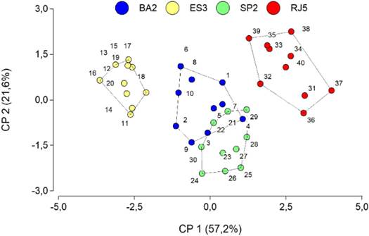 Ordenamiento de los 40 individuos de Vriesea procera (Bromeliaceae) en el espacio de las dos primeras componentes principales (CP1 y CP2), exactamente el mismo ordenamiento de la Fig. 1. Aqu&iacute; se incluye, adem&aacute;s, la identificaci&oacute;n de las poblaciones de origen diferenciadas por los colores y los pol&iacute;gonos. La poblaci&oacute;n de origen es una variable categ&oacute;rica que no particip&oacute; en el an&aacute;lisis de componentes principales. Figura en color en la versi&oacute;n en l&iacute;nea https://www.ojs.darwin.edu.ar/index.php/darwiniana/article/view/1086/1299