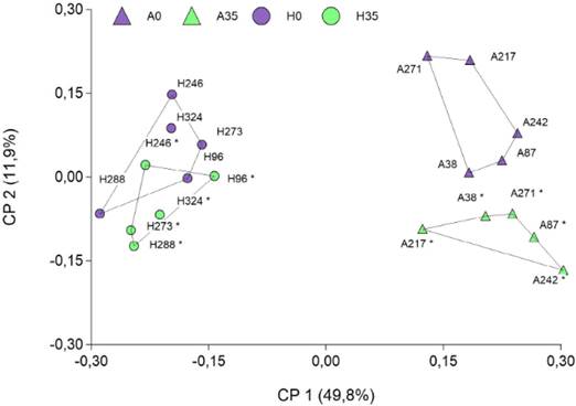 Primeros dos ejes o coordenadas principales (CP1 y CP2) resultantes del Escalamiento Multidimensional de 20 sitios del pastizal de la Pampa Deprimida, pertenecientes a dos comunidades: la Pradera de Mes&oacute;fitas (tri&aacute;ngulos) y la Estepa de Hal&oacute;fitas (c&iacute;rculos). La medida de distancia utilizada es Bray-Curtis. El asterisco (*) despu&eacute;s del n&uacute;mero indica mismo sitio relevado 35 a&ntilde;os despu&eacute;s. Las componentes principales 1 y 2 explican el 49,8 y 11,9 % de la variabilidad total respectivamente. Ejemplo did&aacute;ctico adaptado de Puhl et al. (2014). Figura en color en la versi&oacute;n en l&iacute;nea https://www.ojs.darwin.edu.ar/index.php/darwiniana/article/view/1086/1299