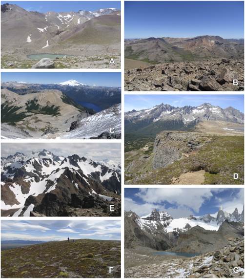 Ejemplos de paisajes de cerros relevados. A, ANP Domuyo, ascenso al Volc&aacute;n Domuyo. B, Cerros Oeste Zapala, vista desde el cerro Palau Mahuida. C, PN Nahuel Huapi, vista desde el cerro L&oacute;pez. D, ANP R&iacute;o Turbio, cerro Plataforma. E, PN Lago Puelo, vista desde el cerro Cuevas. F, Filo en Estancia Stag River. G, PN Los Glaciares, vista desde el cerro Madsen. Fotograf&iacute;as M. Ferreyra. Figura en color en la versi&oacute;n en l&iacute;nea http://www.ojs.darwin.edu.ar/index.php/darwiniana/article/view/1072/1284