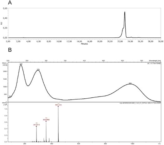 A, HPLC-DAD profiles of anthocyanin enriched extract from fruits of red morphotype detection at 505 nm. B, UV-Vis and MS-MS spectra of the compound assignment as Cyanidin-3-hexoside in the anthocyanin enriched extract from red fruits of Z. punctata.