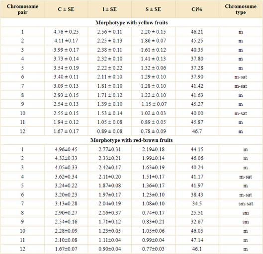 Quantitative parameters of chromosomes. Abbreviations: C, mean chromosome length; l, mean length of the long arm; S, mean length of the short arm; Ci, mean centromeric index; m, metacentric; sm, submetacentric; sat, satellite; SE, standard error.