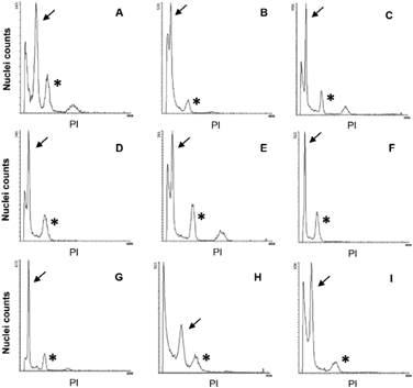 Examples of flow cytometry histograms [nuclei counts vs. relative fluorescence (propidium iodide, PI) intensity] for eight southern south American Ilex species. For each histogram, the fluorescence peak of Ilex species is indicated with an arrow and the peak of the internal standard (in G1 phase) is indicated with an asterisk. A,I. argentina (accession EEA-INTA-CA 111). B,I. brasiliensis (accession EEA-INTA-CA 221). C,I. brevicuspis (accession EEA-INTA-CA 115). D,I. integerrima (accession EEA-INTA-CA 62). E,I. microdonta (accession EEA-INTA-CA 121). F,I. pseudobuxus (accession EEA-INTA-CA 132). G,I. taubertiana (accession EEA-INTA-CA 124). H,I. theezans (accession EEA-INTA-CA 101). I,I. theezans (accession 225 EEA-INTA-CA).