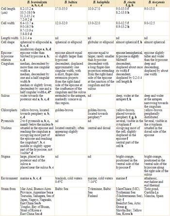 Comparison of Biecheleria brevisulcata with species described for marine, brackish and athalasic environments based on characters observed with light microscopy. References: a, this study; b, Takahashi et al. (2014); c, Choi et al. (2021); d, Hu et al. (2022); e, Moestrup et al. (2009a); f, Siano et al. (2009); g, Balzano et al. (2012); h, Kang et al. (2011); i, Raho et al. (2012); nd, no data; * measured data from the quoted literature.