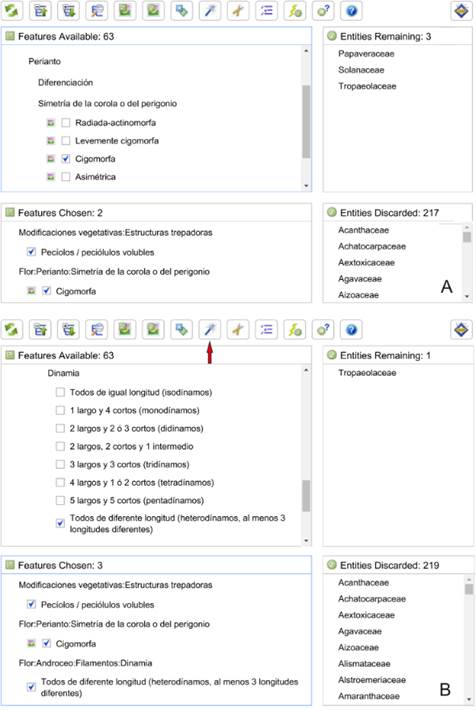 Captura de pantalla de la clave donde se muestra un ejemplo de identificaci&oacute;n (Tropaelum sp). A, luego de seleccionar dos caracteres, quedaron tres familias candidatas. B, la flecha roja indica la herramienta &ldquo;Best&rdquo; (mejor car&aacute;cter) activada, y el mejor car&aacute;cter para distinguir entre esas familias &ldquo;Flor:Androceo:Filamentos: Dinamia&rdquo; se muestra en el cuadrante superior izquierdo. La opci&oacute;n &ldquo;Todos de diferente longitud&rdquo; permite llegar r&aacute;pidamente a Tropaeolaceae. Figura en color en la versi&oacute;n en l&iacute;nea http://www.ojs.darwin.edu.ar/index.php/darwiniana/article/view/1097/1291