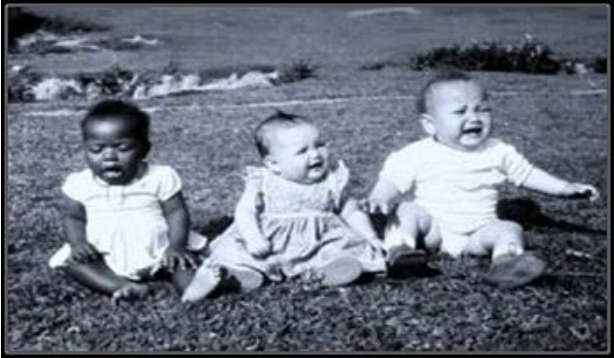 Concurso do beb robusto, Cricima (SC), dcada de 1950