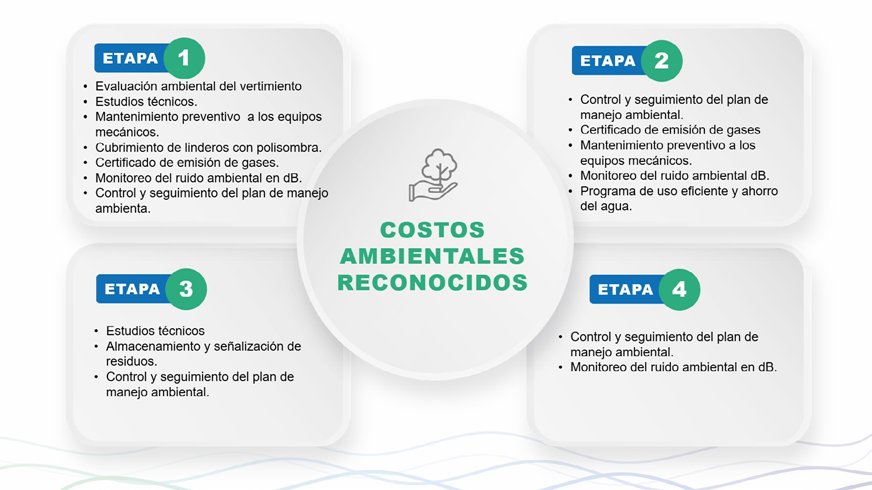 Costos ambientales reconocidos