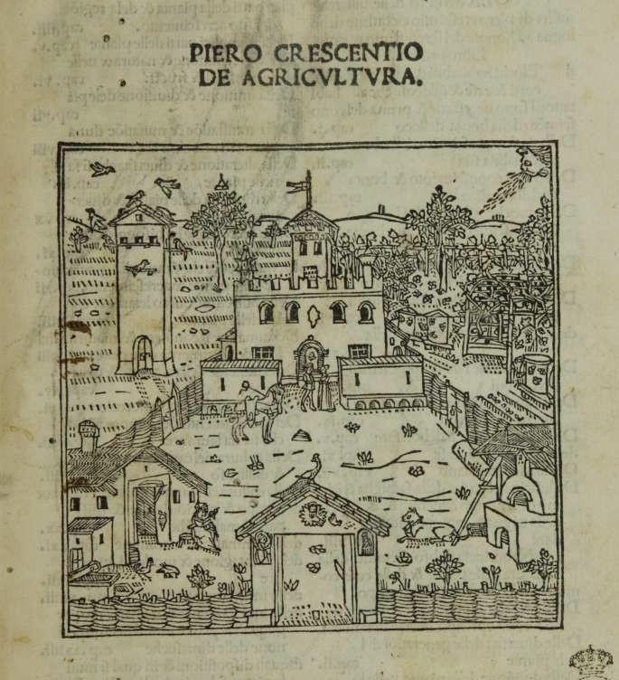Pietro de’ Crescenzi, Portada de De agricultura, Venezia, Matteo Codec, 1495.