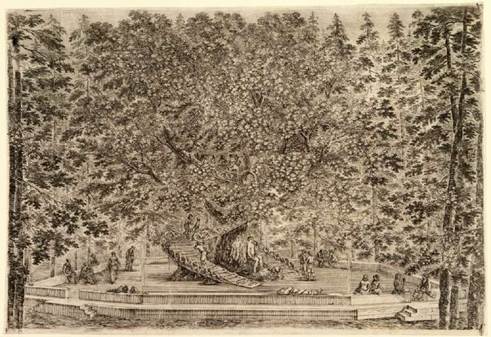 Stefano della Bella, Casa de rbol con rgano hidrulico, en Vues de la villa de Pratolino (h. 1653- 1655, The Metropolitan Museum of Art). Aguafuerte, 25.6 x 37.3 cm.