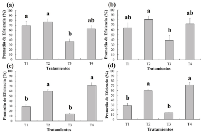 Eficiencia (%) de los tratamientos evaluados en el cultivo de jitomate en condiciones
								de invernadero en cada uno de los días después de la aplicación: (a)
								3 dda, (b) 5 dda, (c) 7dda y (d) 14 dda. dda= Días después de la
								aplicación, T1= Nim aceite 4%, T2= Nim aceite + M.
									anisopliae, T3= Nim aceite + B.
									bassiana y T4= Nim aceite + I.
									javanica.Figure 1. Efficiency (%) of the treatments
								evaluated in the tomato crop under greenhouse conditions on each of
								the days after application: (a) 3 dda, (b) 5 dda, (c) 7 dda and (d)
								14 dda. dda = Days after the application, T1 = Nim oil 4%, T2 = Nim
								oil + M. anisopliae, T3 = Nim oil + B.
									bassiana and T4 = Nim oil + I.
									javanica.