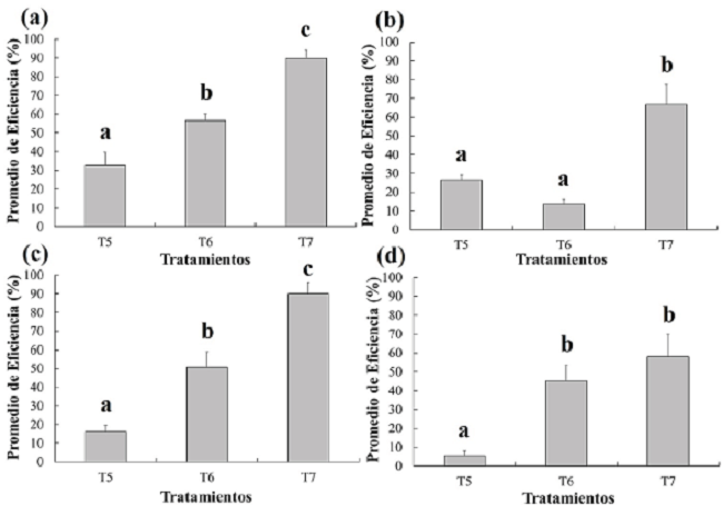 Eficiencia (%) de los tratamientos evaluados en el cultivo de chile en condiciones de
								cielo abierto en cada uno de los días después de la aplicación: (a)
								3 dda, (b) 5 dda, (c) 7 dda y (d) 14 dda. dda= Días después de la
								aplicación, T5= M. anisopliae, T6= I.
									fumosorosea y T7= B. bassiana.
									Figure 2. Efficiency (%) of the
								treatments evaluated in the chili crop under open sky conditions on
								each of the days after the application: (a) 3 dda, (b) 5 dda, (c) 7
								dda and (d) 14 dda. dda = Days after the application, T5 =
									M. anisopliae, T6 = I.
									fumosorosea and T7 = B.
								bassiana.