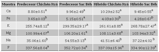 Contenido de minerales (mg/100 g) de las variedades de maíz híbrido y predecesor.
									Table 2. Minerals content (mg / 100 g) of
								the hybrid and predecessor maize varieties. 
