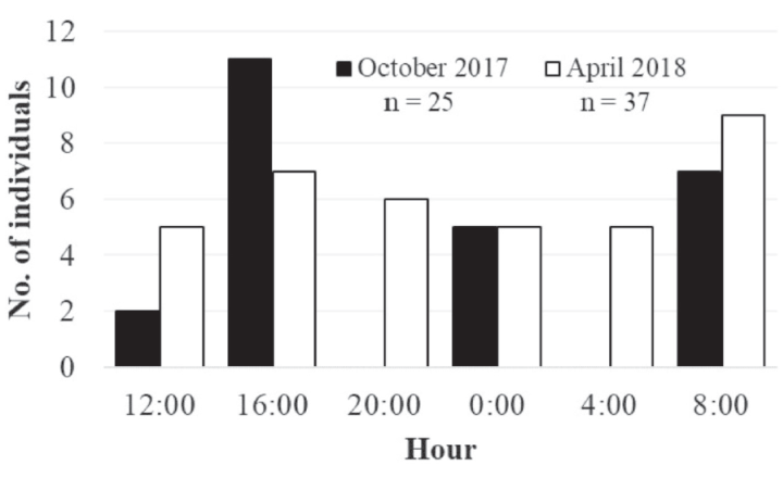 Abundance of Lythrypnus dalli during a diel cycle, in two seasons:
							warm (October 2017) and cold (April 2018) at Punta Diablo, La Paz, Baja
							California Sur, Mexico.Figura 1. Abundancia de Lythrypnus dalli
							durante el ciclo diurno a diel cycle, en dos estaciones: cálida (Octubre
							2017) y fría (Abril 2018) en Punta Diablo, La Paz, Baja California Sur,
							México.
