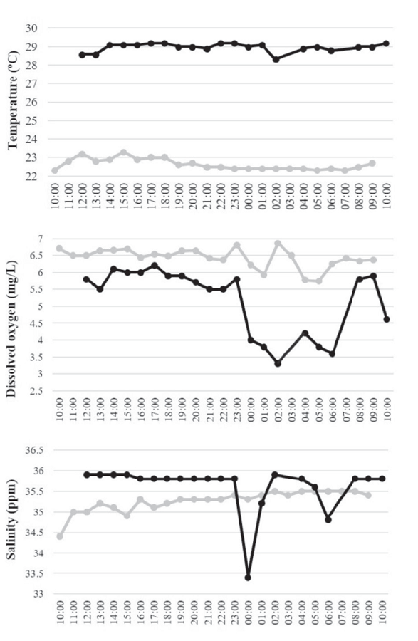 Physical parameters during the sampling diel cycle, in a warm (October 2017; black
								line) and cold season (April 2018; gray line) at Punta Diablo, La
								Paz, Baja California Sur, Mexico.Figura 2. Parámetros físicos a lo largo del día de
								muestreo en la temporada cálida (Octubre 2017; línea negra) y
								temporada fría (Abril 2018; línea gris) en Punta Diablo, La Paz,
								Baja California Sur, México.