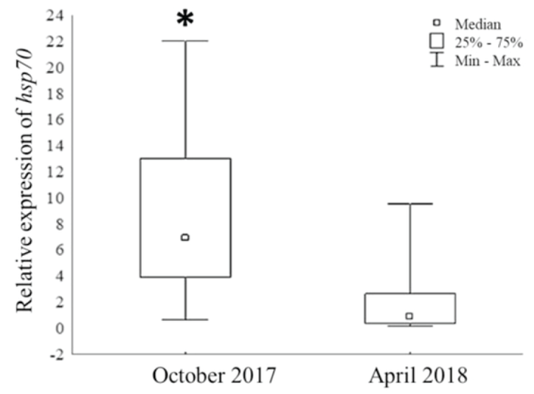 Expression of hsp70 gene between seasons in Lythrypnus
									dalli samples (n=25) obtained at Punta Diablo, La Paz,
								Baja California Sur, Mexico. * p < 0.05.Figura 3. Análisis de expresión de
									hsp70 entre estaciones en muestras de
									Lythrypnus dalli (n=25) obtenidas en Punta
								Diablo, La Paz, Baja California Sur, México. * p
								< 0.05.