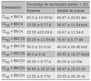 Mortalidad de adultos de C. dimidiatus infectados con B.
									bassiana en combinación con extractos de pimienta o
								semilla de jícama. Table 3. Mortality of adult
								C. dimidiatus infected with B. bassiana in combination with pepper
								extract or jicama seeds.