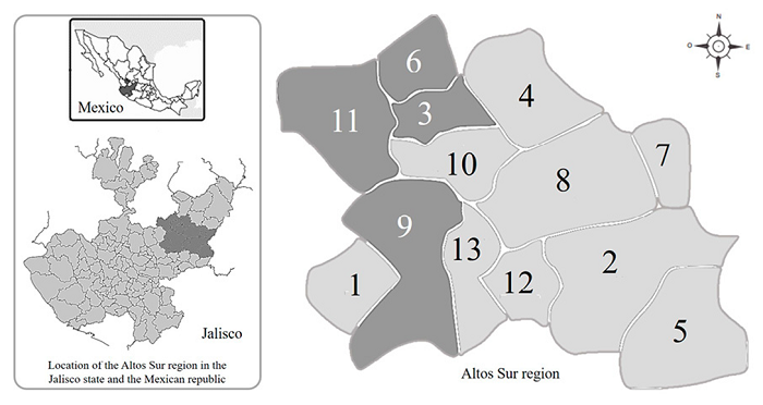 Territorial distribution of samples positive for Salmonella in the
								Altos Sur region in Jalisco. 1. Acatic, 2. Arandas, 3. Cañadas de
								Obregón, 4. Jalostotitlán, 5. Jesús María, 6. Mexticacán, 7. San
								Julián, 8. San Miguel el Alto, 9. Tepatitlán de Morelos, 10. Valle
								de Guadalupe, 11. Yahualica de González Gallo and 12. San Ignacio
								Cerro Gordo (not included in the study).Figura 1. Distribución territorial de las muestras
								positivas para Salmonella, en los Altos Sur de
								Jalisco. 1. Acatic, 2. Arandas, 3. Cañadas de Obregón, 4.
								Jalostotitlán, 5. Jesús María, 6. Mexticacán, 7. San Julián, 8. San
								Miguel el Alto, 9. Tepatitlán de Morelos, 10. Valle de Guadalupe,
								11. Yahualica de González Gallo y 12. San Ignacio Cerro Gordo
								(municipio no incluido en este estudio).