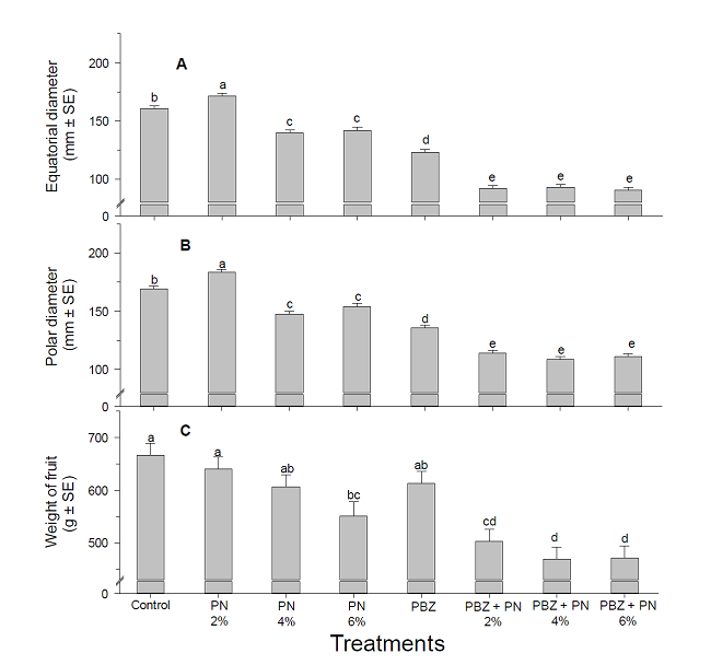 Effect of potassium nitrate alone or with paclobutrazol on the fruit weight and size
								of mango cv. Tommy Atkins: A, equatorial diameter (mm); B, polar
								diameter (mm) and C, fruit weight (g). Bars with different letters
								are statistically different (Fisher, p &le; 0.05) (n = 20).Figura 1. Efecto de nitrato de potasio s&oacute;lo o con
								paclobutrazol en el peso y tama&ntilde;o de frutos de mango cv. Tommy
								Atkins: A, di&aacute;metro ecuatorial (mm); B, di&aacute;metro polar (mm) y C,
								peso de fruto (g). Barras con diferentes letras son estad&iacute;sticamente
								diferentes (Fisher, p &le; 0.05) (n = 20). 