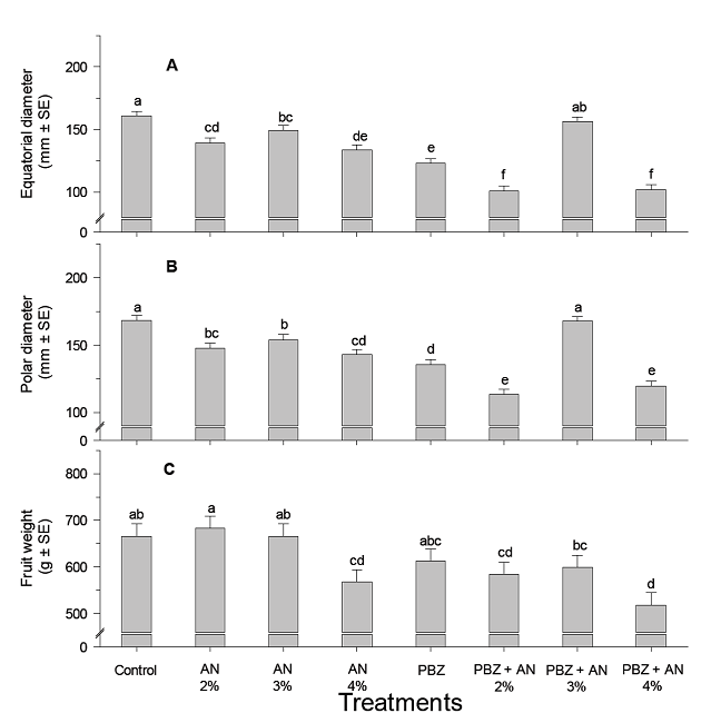 Effect of ammonium nitrate alone or with paclobutrazol on the weight and size of mango
								fruit cv. Tommy Atkins: A, equatorial diameter (mm); B, Polar
								diameter (mm) and C, weight of fruits (g). Bars with different
								letter are statistically different (Fisher, p ˂
								0.05) (n = 20).Figura 2. Efecto de nitrato de amonio solo o con
								paclobutrazol en el peso y tama&ntilde;o de fruto de mango cv. Tommy
								Atkins: A, di&aacute;metro ecuatorial (mm); B, di&aacute;metro polar (mm) y C,
								peso de fruto (g). Barras con diferentes letras son estad&iacute;sticamente
								diferentes (Fisher, p ˂ 0.05) (n = 20).