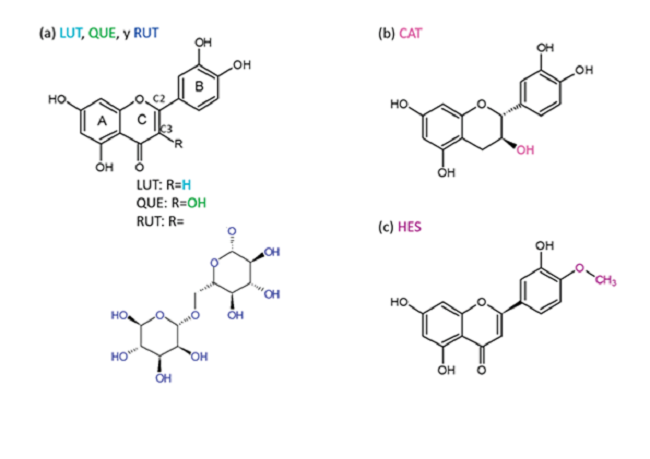 Estructura qu&iacute;mica de los flavonoides evaluados. Luteolina (LUT), Quercetina (QUE) y
							Rutina (RUT) se muestran en una misma estructura (Figura 1a), se diferencian en el sustituyente en el
							C3 del anillo C. El grupo R de LUT es un H, para QUE R=OH, y RUT el
							grupo R corresponde a un rutin&oacute;sido. La CAT y HES se muestran en las
							estructuras (b) y (c), respectivamente.Figure 1. Chemical structure of evaluated flavonoids. The
							same structure (Figure 1a) was
							employed to show Lutein (LUT), Quercetin (QUE) and Rutin (RUT), and
							their differences are due to the substitution at C3 position. The
							radical group (R) of LUT is a hydrogen, whereas a hydroxyl and a
							rutinoside are the R groups for QUE and RUT. CAT and HES are shown, (b)
							and (c) respectively.