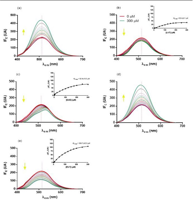 Efecto de flavonoides en la fluorescencia extr&iacute;nseca del complejo lipasa-ANS. Se
								emplearon diferentes concentraciones (hasta 300 &micro;M) de los
								flavonoides, HES Hesperetina (a), LUT Luteolina (b), QUE Quercetina
								(c), CAT Catequina (d), y RUT Rutina (e). La Figura interna muestra
								la variaci&oacute;n en el diferencial de la intensidad de la fluorescencia
								corregida (ΔIFc, UA) frente a diferentes concentraciones del flavonoide.Figure 3. Effect of flavonoids on lipase-ANS complex
								extrinsic fluorescence. Flavonoids employed were HES Hesperetin (a),
								LUT Lutein (b), QUE Quercetin (c), CAT Catechin (d), and RUT Rutin
								(e) at different concentrations (1 &ndash; 300 μM). Inset shows the change
								in the intensity of the corrected fluorescence (ΔIFc, AU) at
								different flavonoid concentrations.