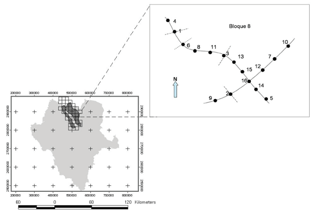 Esquema del monitoreo de aves y vegetaci&oacute;n (Panjabi
										et al., 2010)Figure 2. Monitoring scheme of birds and vegetation
									(Panjabi et
									al., 2010).