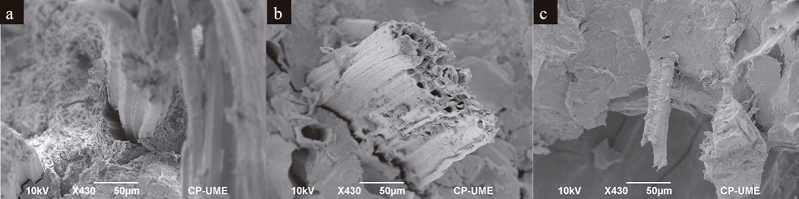 Microscopia electronica de barrido: a) biocompuesto sin tratamiento alcalino y
								longitud de fibra de 1 mm; b) biocompuesto sin tratamiento alcalino
								y longitud de fibra de 0.25 mm; c) biocompuesto con tratamiento
								alcalino y longitud de fibra de 0.25 mm.Figure 3. SEM micrographs: a) biocomposite without
								alkaline treatment and 1 mm fiber length; b) biocomposite without
								alkaline treatment and 0.25 mm fiber length; c) biocomposite with
								alkaline treatment and 0.25 mm fiber length.