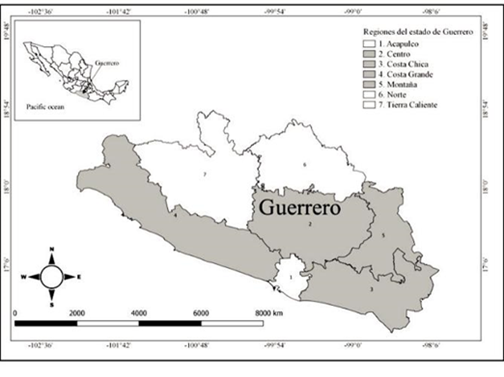 Mesoregions of the state of Guerrero, Mexico.
							Figura 1Regiones del Estado de Guerrero, México.