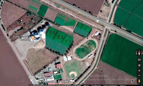 Ubicación de los tratamientos estudiados en el cultivo de maíz en el ciclo otoño-invierno de 2019-2020 en el campo experimental del Instituto Tecnológico Superior de Guasave (ITSG).