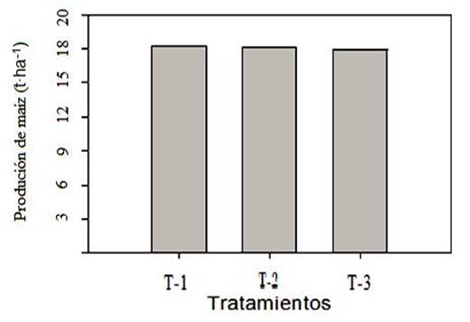 Efectos en la producción de grano en suelo franco arcilloso de diferentes dosis de aditivo orgánico en Guasave, Sinaloa, México. Testigo 1 = Suelo normal, T-2 = Suelo + 25g aditivo orgánico/kg de suelo, T-3 = Suelo + 50g aditivo orgánico/kg de suelo.