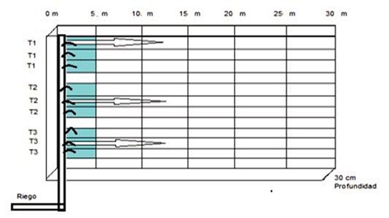 Esquema del experimento, con seis puntos de medición (5, 10, 15, 20, 25, 30 m) con tres tratamientos (T1 = testigo, T2 = suelo + 25 g de aditivo orgánico, T3 = 50 g aditivo orgánico) a una profundidad de 30 cm de profundidad para calcular humedad volumétrica en tiempo real con TDR-300, tiempo de avance y recesión en Burrioncito, Guasave, Sinaloa, México.