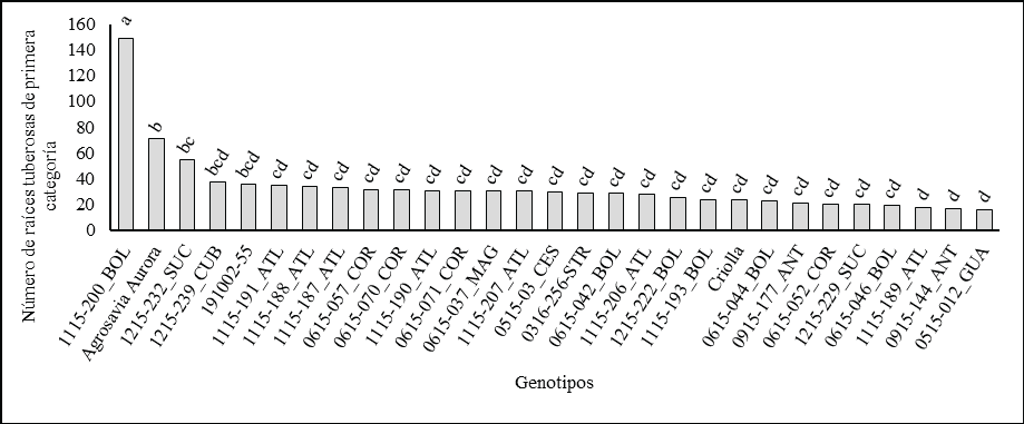 Comparación de medias de Tukey para la producción de raíces tuberosas de batata de primera categoría en el Valle del Cauca, Colombia. Genotipos con letra distinta difieren estadísticamente (p ≤ 0.01).