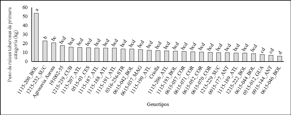 Comparación de promedios de Tukey para el peso de raíces tuberosas de batata de primera categoría en el Valle del Cauca, Colombia. Genotipos con letra distinta difieren estadísticamente (P ≤ 0.05).