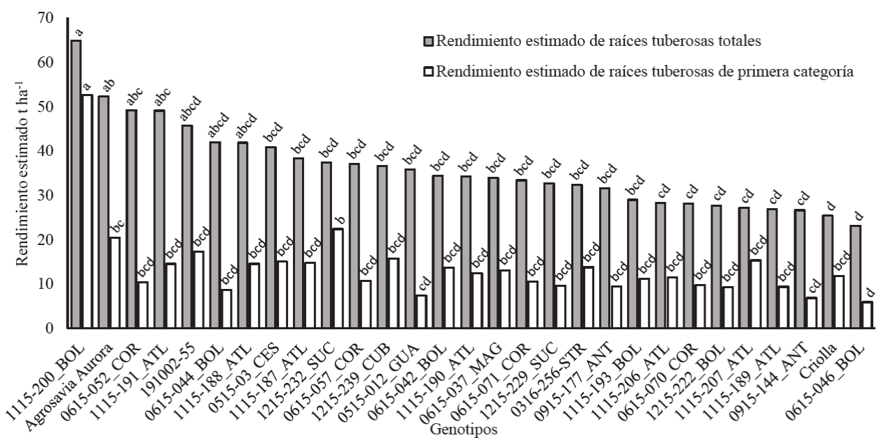 Comparación de promedios de Tukey para el rendimiento estimado de raíces tuberosas totales y de primera categoría de batata en el Valle del Cauca, Colombia. Genotipos con letra distinta difieren estadísticamente (P ≤ 0.05).