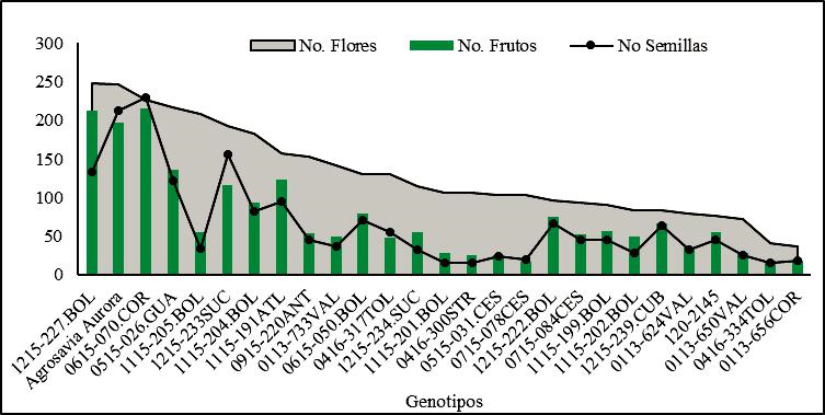 Producción de estructuras reproductivas en 27 genotipos de batata para uso como parentales evaluados en el Valle del Cauca, Colombia.