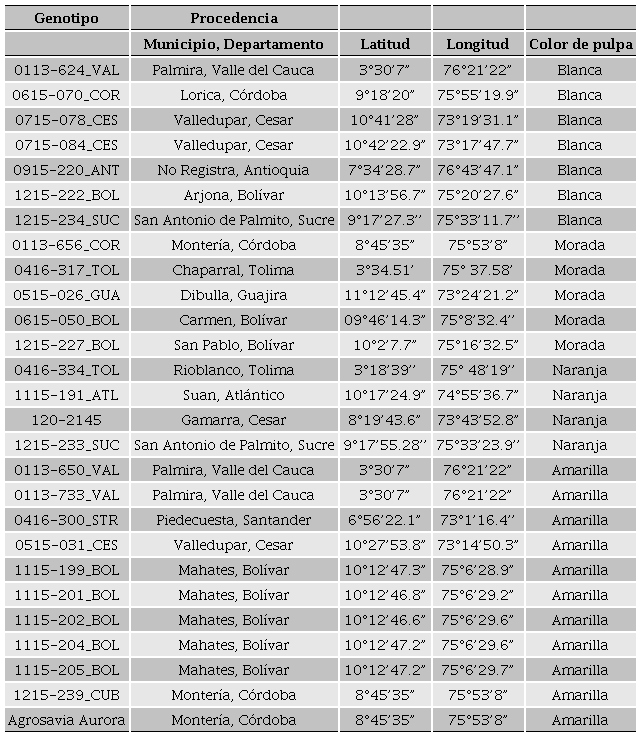 Genotipos de batata seleccionados para su evaluación por floración bajo condiciones del Valle del Cauca, Colombia.
