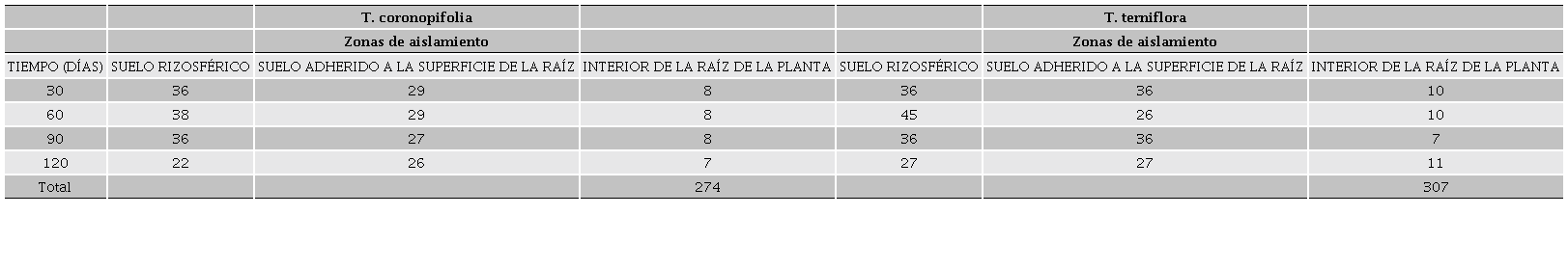 Número de bacterias aisladas de la rizosfera de T. coronopifolia y T. terniflora, de acuerdo con la especie, edad de cada planta y las diferentes zonas de muestreo.