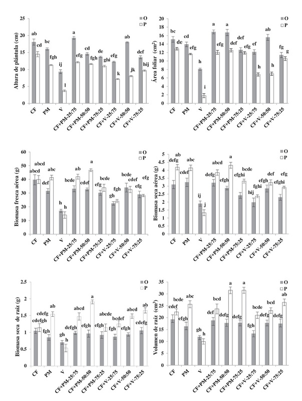 Interacción sustrato x ciclo de producción para altura de plántula. (A), área foliar (B), biomasa fresca aérea (C), biomasa seca aérea (D), biomasa seca de raíz (E) y volumen de raíz (F) de albahaca Thai, a los 30 d después de la germinación. CF: cascarilla de arroz cruda fragmentada; PM: peat moss; V: vermiculita; O: otoño, P: primavera.