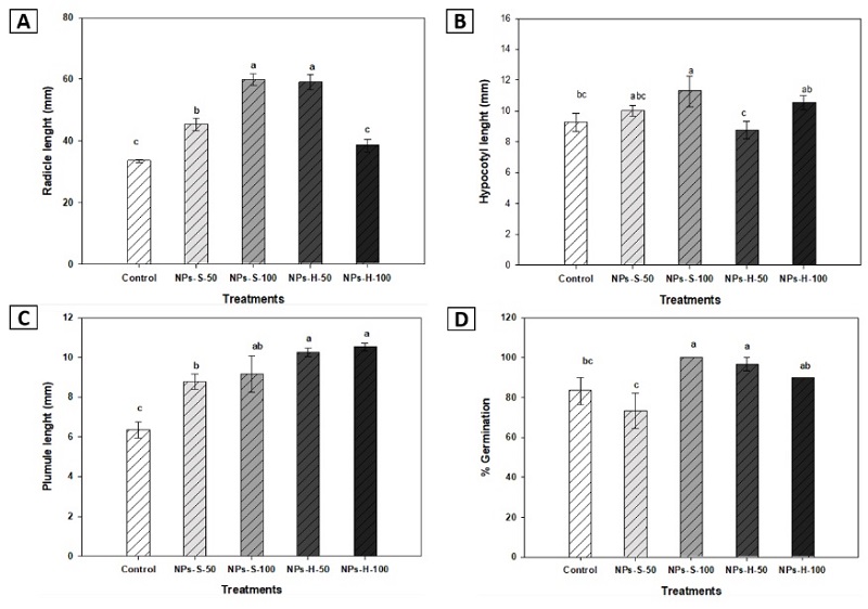 Radicle length (A), Hypocotyl length (B), Plumule length (C) and Germination percentage (D), of bell pepper seedlings at 14 DAS. NPs-S-50: spherical nanoparticles 50 mg L-1, NPs-S-100: spherical nanoparticles 100 mg L-1, NPs-H-50: hexagonal nanoparticles 50 mg L-1, NPs-H-100: hexagonal nanoparticles 100 mg L-1 Different letters indicate significant difference (LSD, ≤ 0.05). Lines over the bars indicate mean standard error.