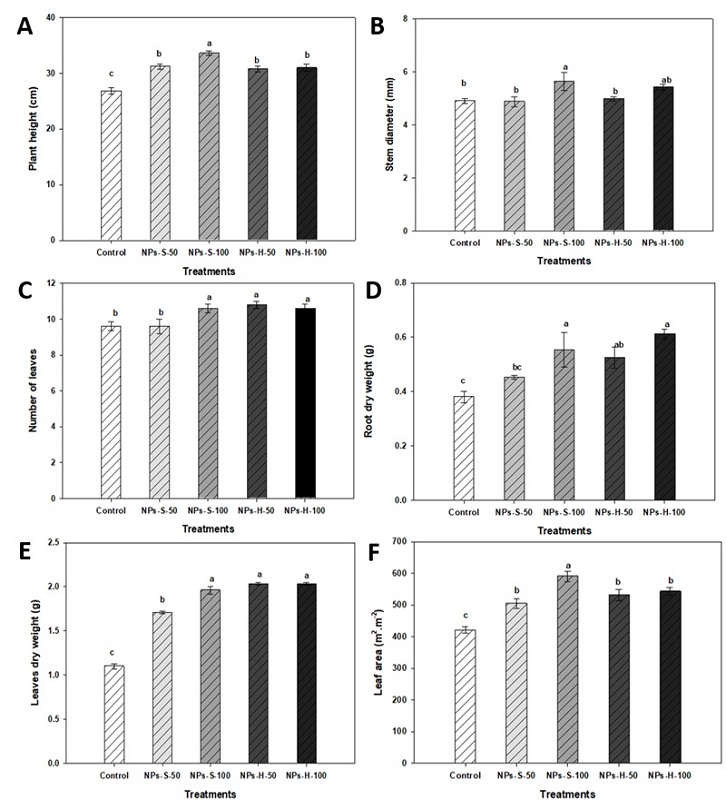 Plant height (A), stem diameter (B), leaf number (C), root dry weight (D), leaf dry weight (E), leaf area (F) of bell pepper seedlings at 45 days. NPs-S-50: spherical nanoparticles 50 mg L-1, NPs-S-100: spherical nanoparticles 100 mg L-1, NPs-H-50: hexagonal nanoparticles 50 mg L-1, NPs-H-100: hexagonal nanoparticles 100 mg L-1. Different letters in bars indicate a significant difference (LSD, ≤ 0.05). Lines over the bars indicate mean standard error.