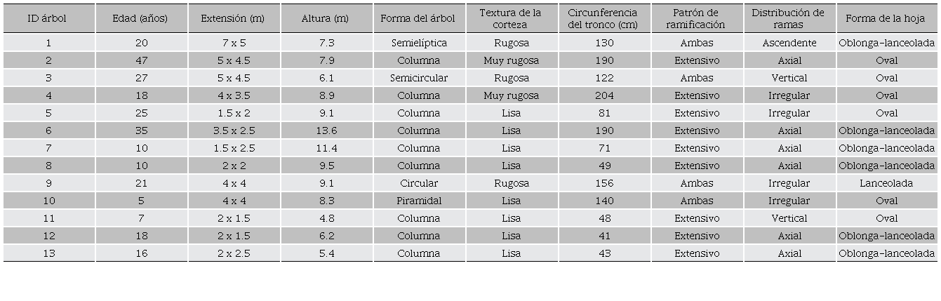 Características morfológicas de los árboles de aguacate criollo de Parras, Coahuila. 