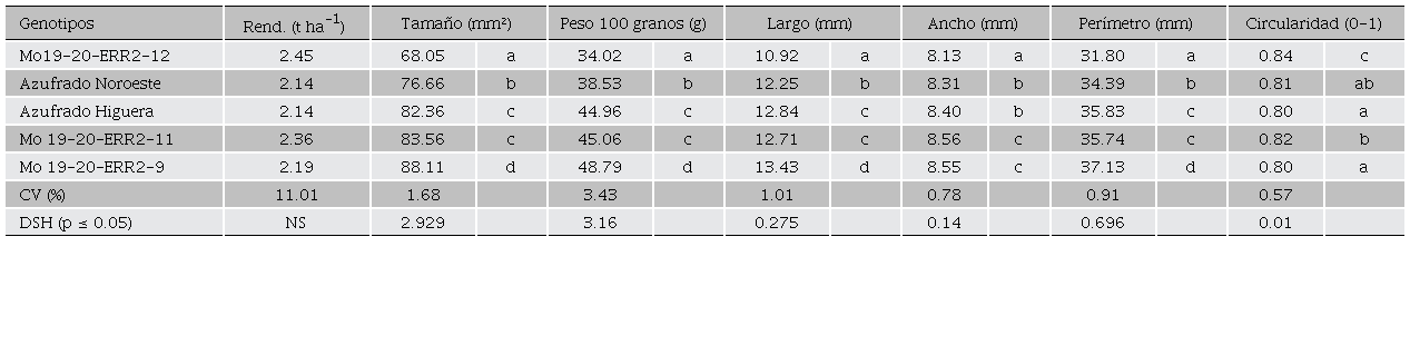 Rendimiento promedio de tres ciclos de producción y dimensiones del grano en dos variedades y tres líneas avanzadas de frijol, ciclo otoño-invierno, 2019/2020, Juan José Ríos, Sinaloa, México. 